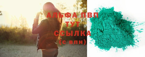 индика Нязепетровск