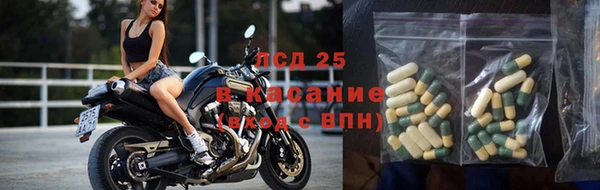 ПСИЛОЦИБИНОВЫЕ ГРИБЫ Осинники