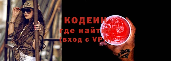 индика Нязепетровск