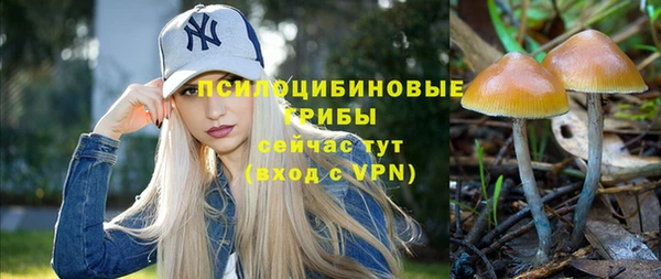 прущие крисы Осташков