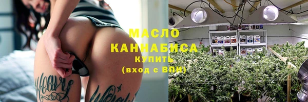 индика Нязепетровск