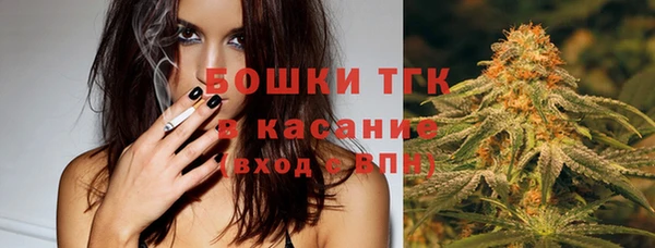 индика Нязепетровск