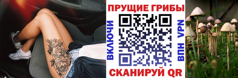 Галлюциногенные грибы Magic Shrooms Арсеньев