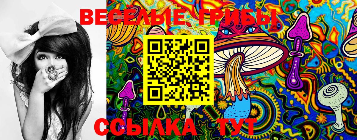 Псилоцибиновые грибы мицелий  Арсеньев  где купить наркоту  Галлюциногенные грибы MAGIC MUSHROOMS 